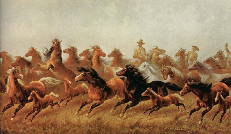 James Walker Roping wild horses oil painting picture